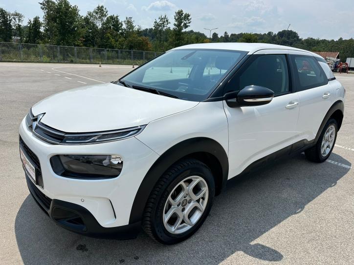 C4 Cactus