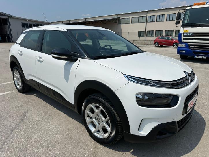 C4 Cactus