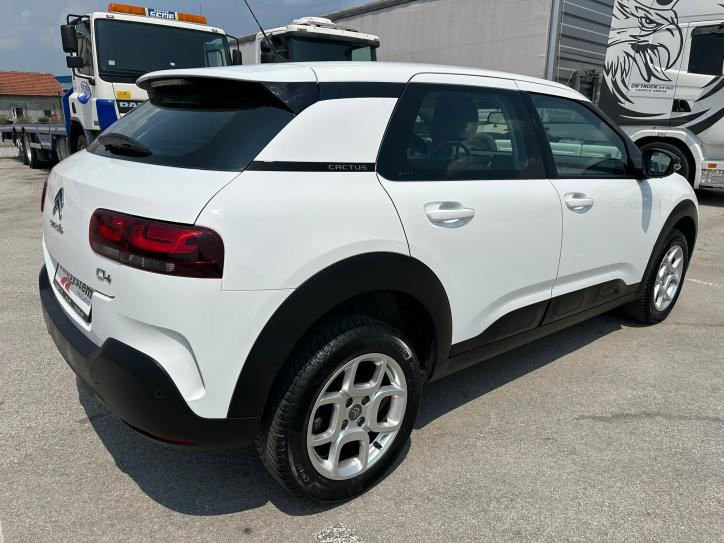 C4 Cactus