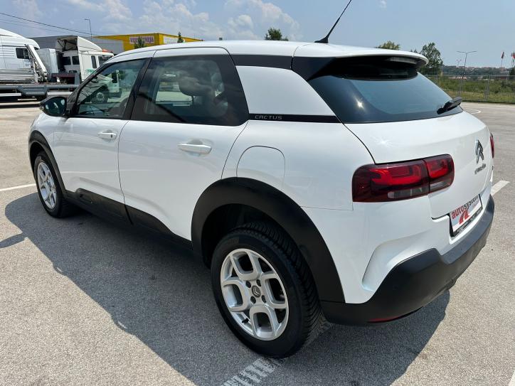 C4 Cactus