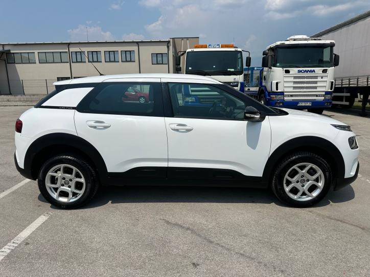 C4 Cactus