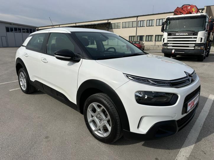 C4 Cactus