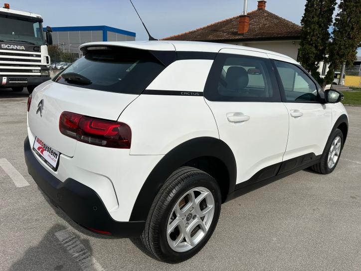 C4 Cactus