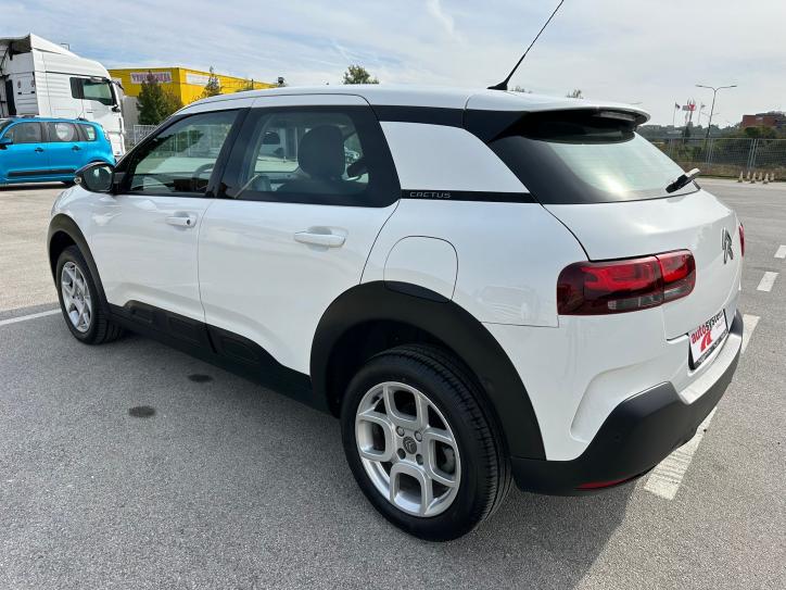 C4 Cactus