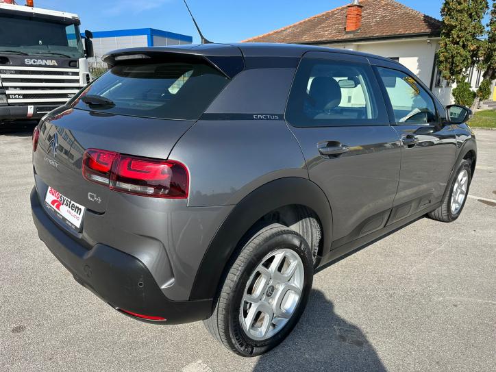 C4 Cactus