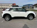 C4 Cactus