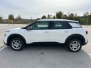 C4 Cactus