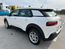 C4 Cactus