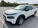 C4 Cactus