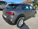 C4 Cactus